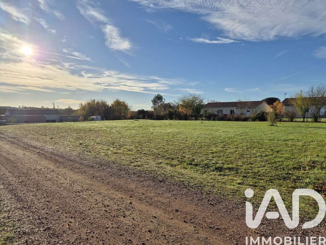 Photo 3 - Terrain à SAINT-JEAN-DE-THOUARS