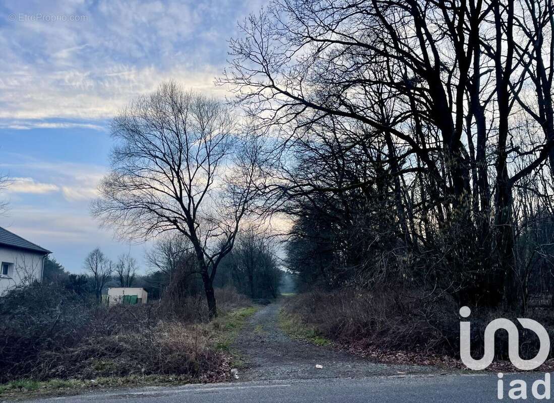 Photo 2 - Terrain à CARLING