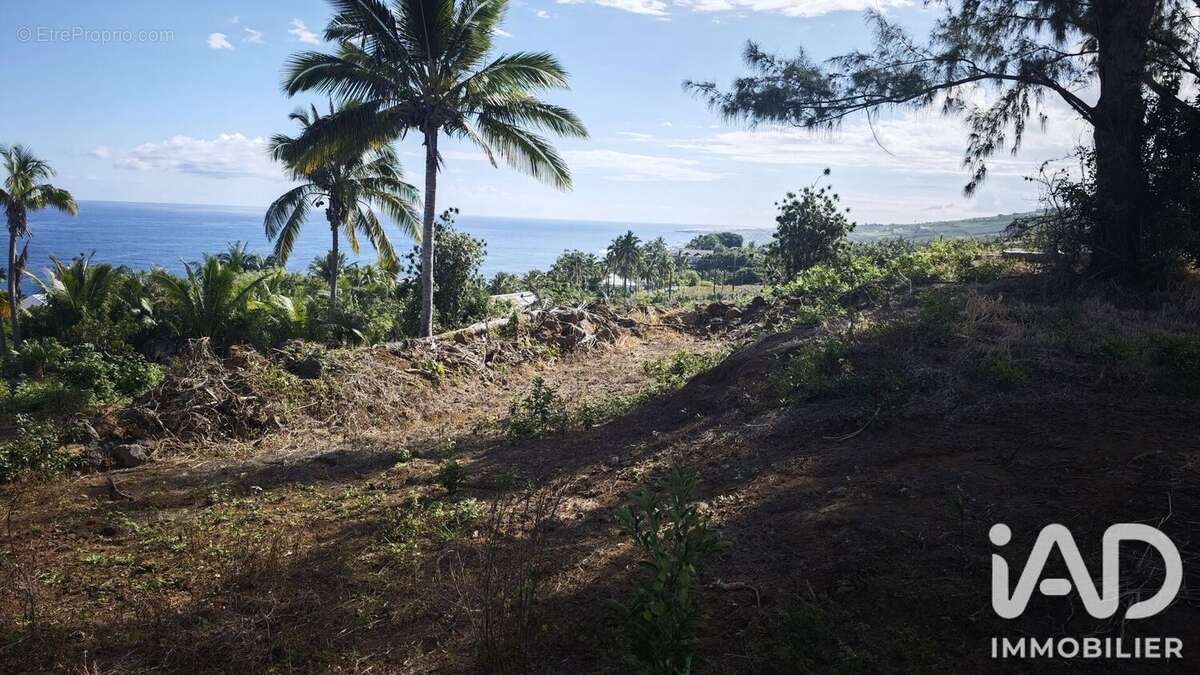 Terrain 471 m² à Petite-Ile  - photo 3