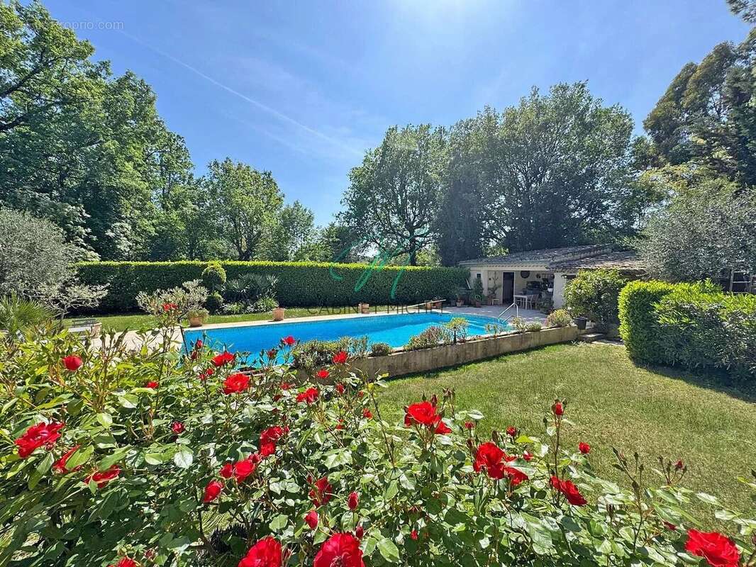 Maison à ROQUEFORT-LES-PINS