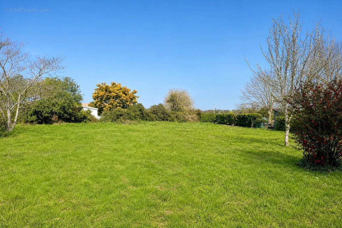 Maison de plain-pied sur un magnifique terrain - photo 10