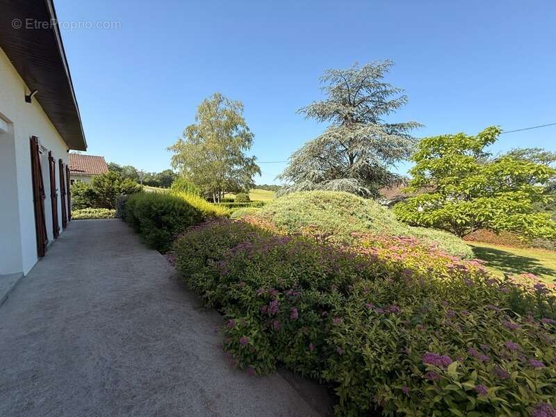 Maison à CHENIERS