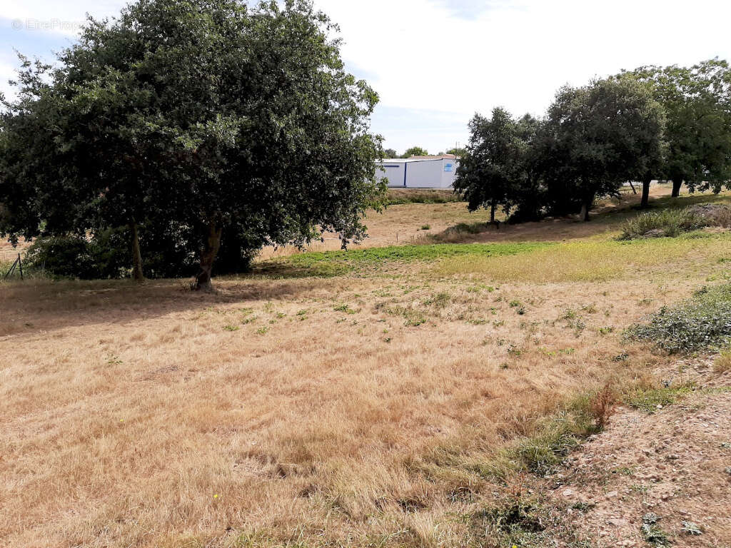 Terrain à vendre viabilisé proche de Vihiers ! - photo 2