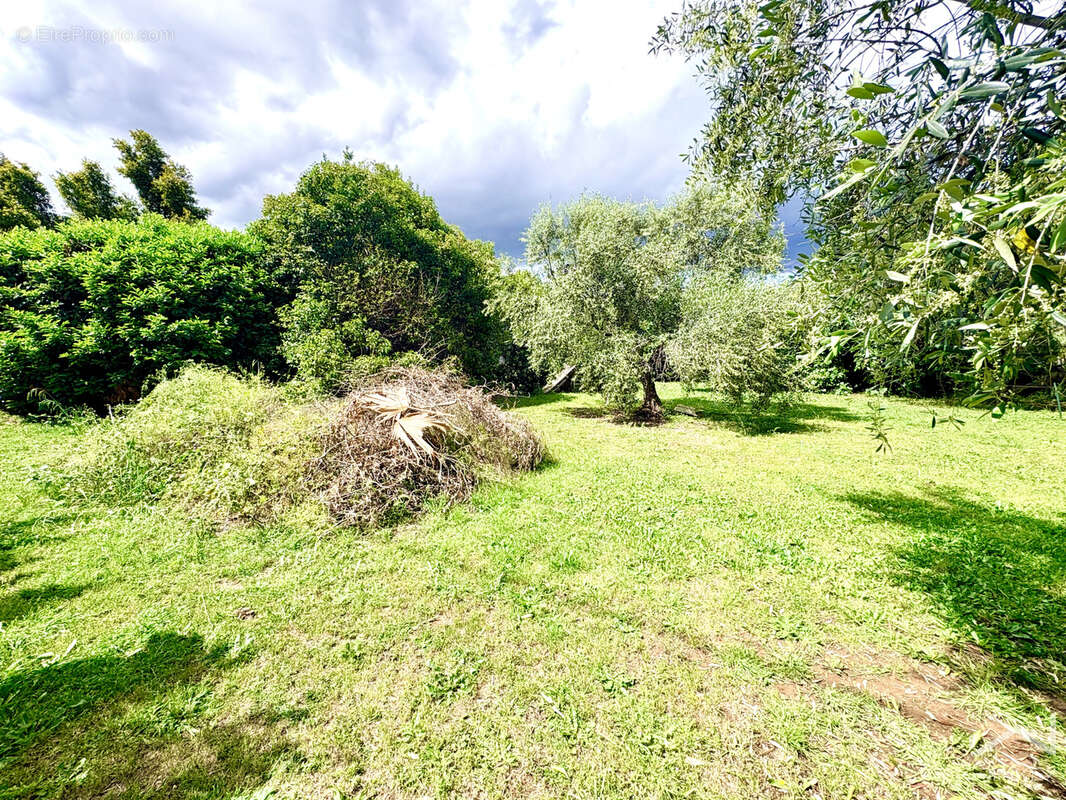 Terrain à CARROS