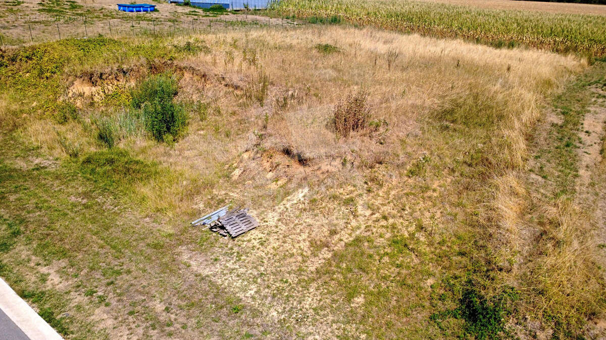 Terrain viabilisé de 1610 m2 qui n'attend plus que votre maison - photo 6