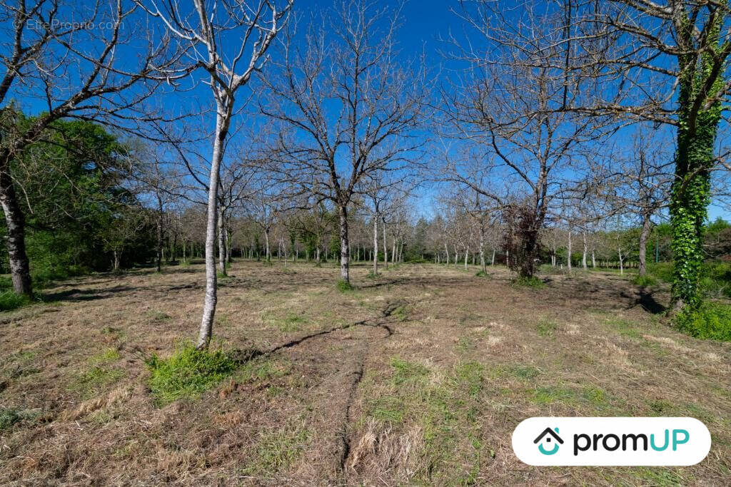 Terrain à REANS