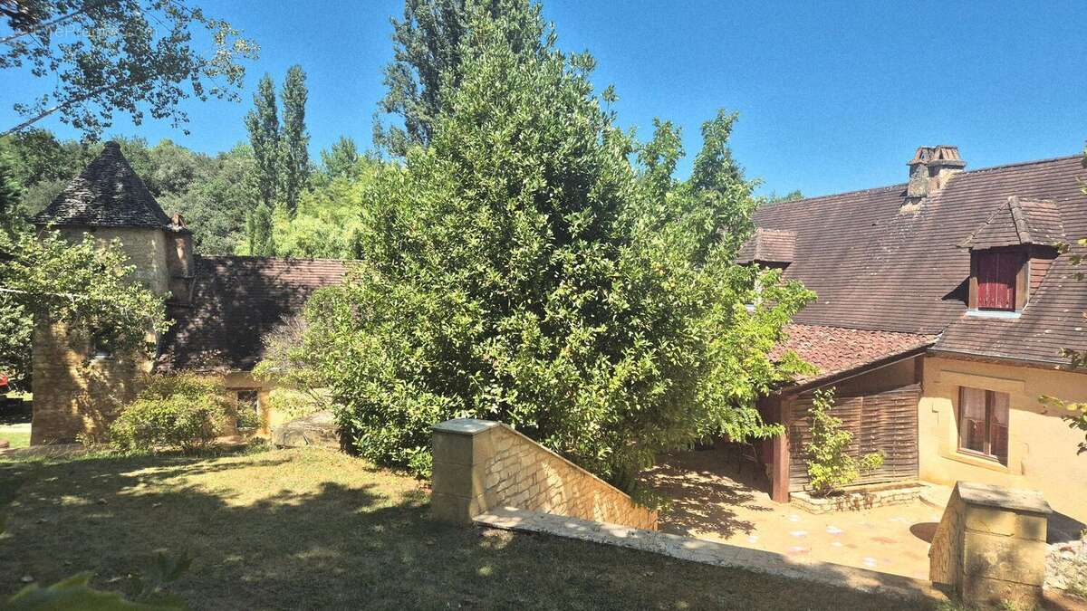 Maison 550 m² à Les Eyzies-De-Tayac-Sireuil  - photo 177