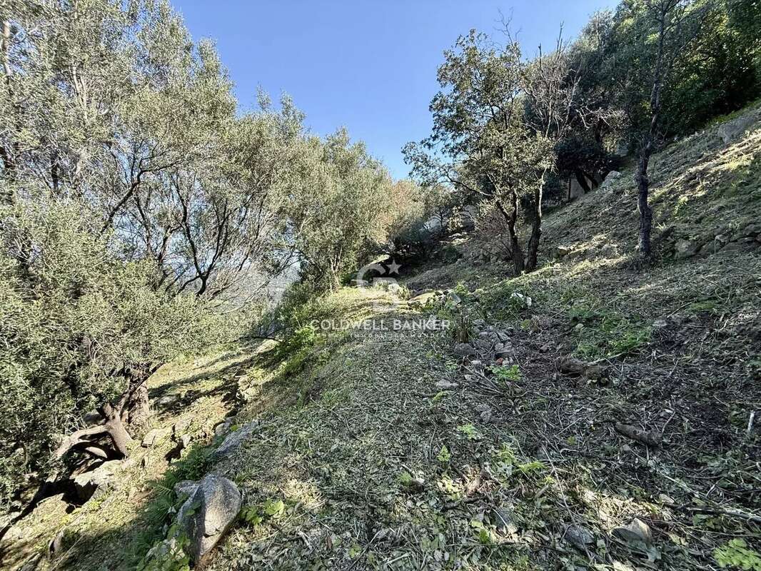 Terrain à MONTICELLO