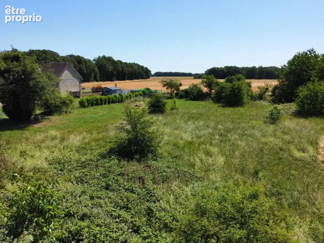 Terrain constructible arboré de 2 896 m² dans un environnement privilégié - La Madeleine de Nonancourt - photo 2
