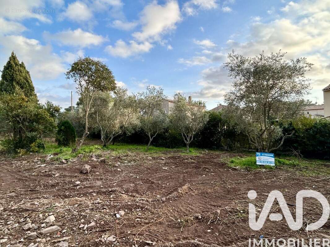 Photo 4 - Terrain à SAINT-RAPHAEL