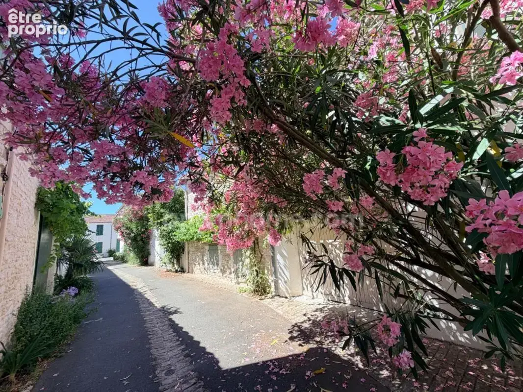 Exclusivité – maison de village authentique en pierres – marché & plages au bois plage - photo 10