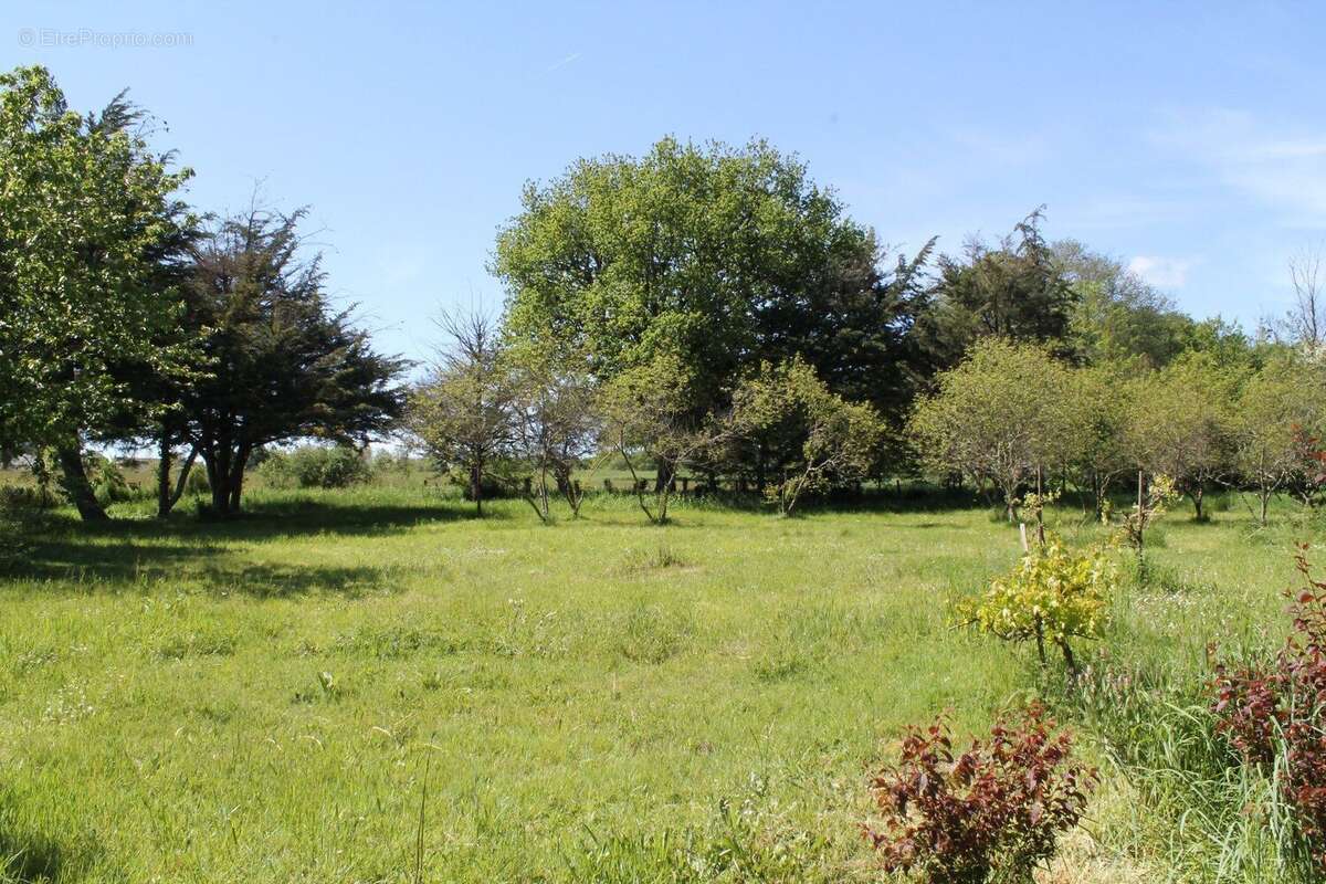 Maison à NEONS-SUR-CREUSE