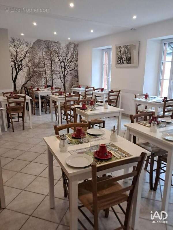 Photo 8 - Commerce à SAINT-LARY