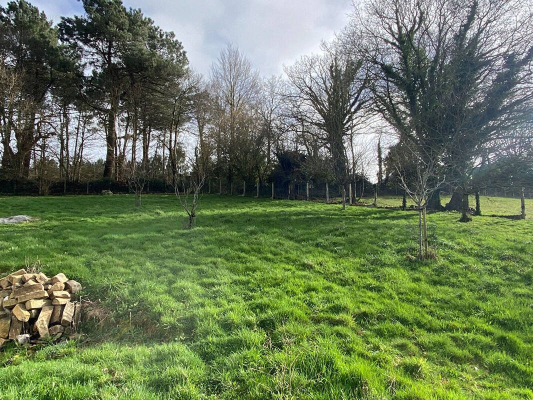 Terrain à PEAULE