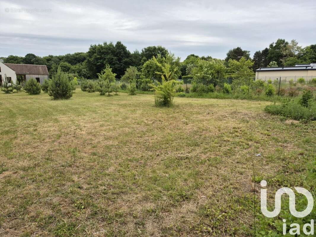 Photo 7 - Maison à LARCHANT