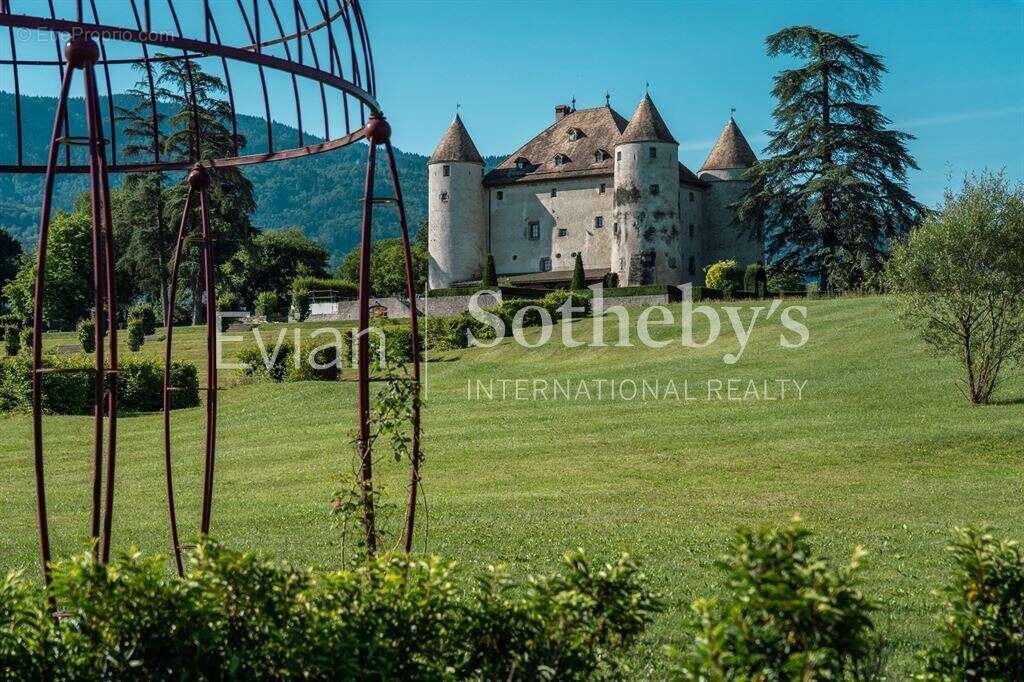 Château aux portes de genève - photo 4
