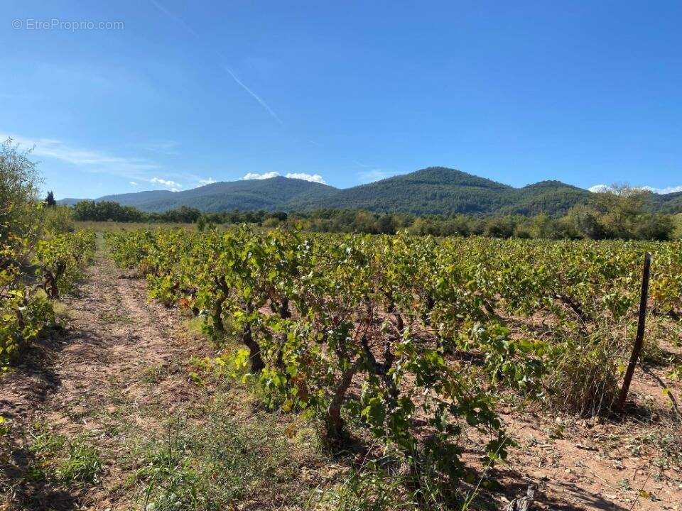 Terrain à LE CASTELLET