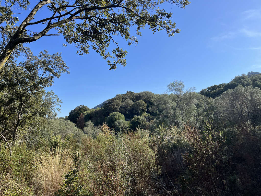 Terrain à FIGARI