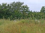 Terrain à SAINT-DENIS-LA-CHEVASSE