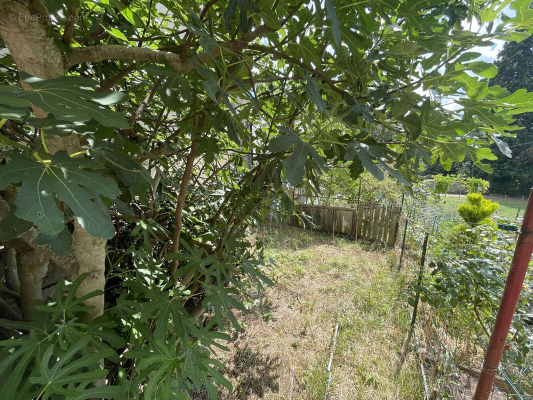 Photo 9 - Maison à AMPLEPUIS