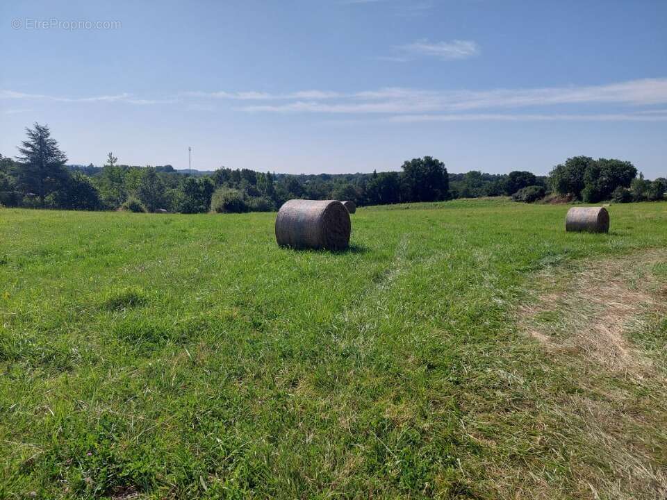 Terrain à LAPEYROUSE-FOSSAT