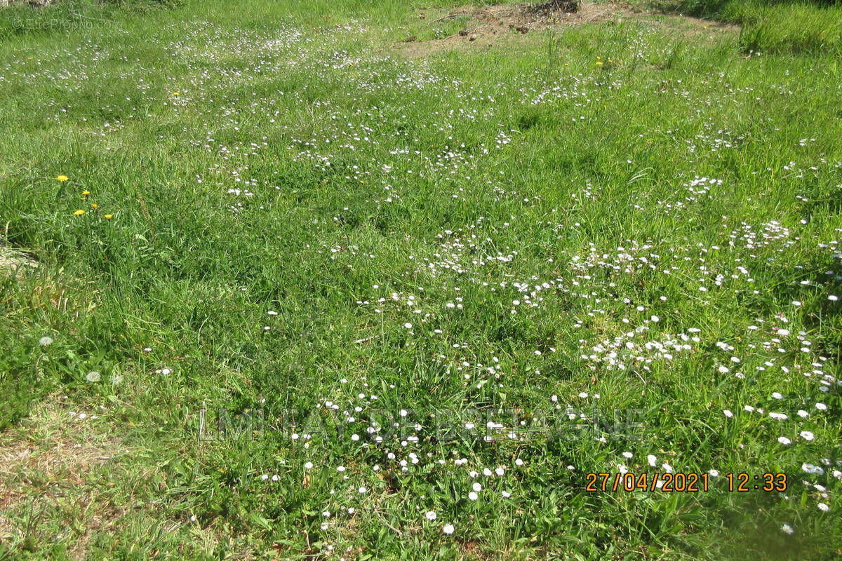 Terrain à BLAIN
