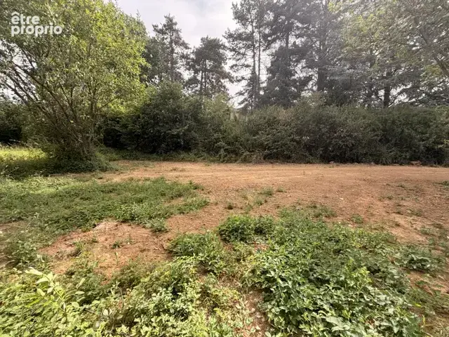 GENAY – SUR LES HAUTEURS – Terrain de 780 m² – Projet de villa de plain-pied – Permis en cours - photo 5