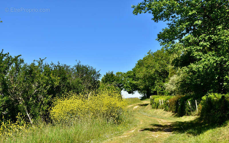 Dpt Gers (32), à vendre BAZIAN propriété P12 de 430 m² avec piscine et terrain de tennis - Terrain de 1,60 Ha - photo 19