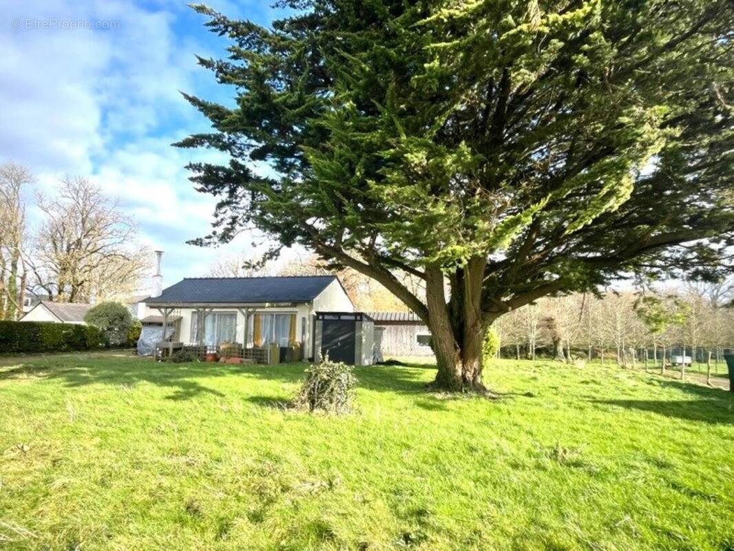 Photo 1 - Maison à ARZAL