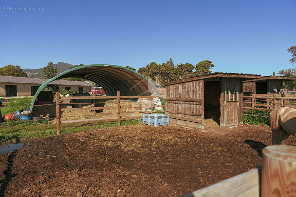 Autre à CASTELLARE-DI-CASINCA