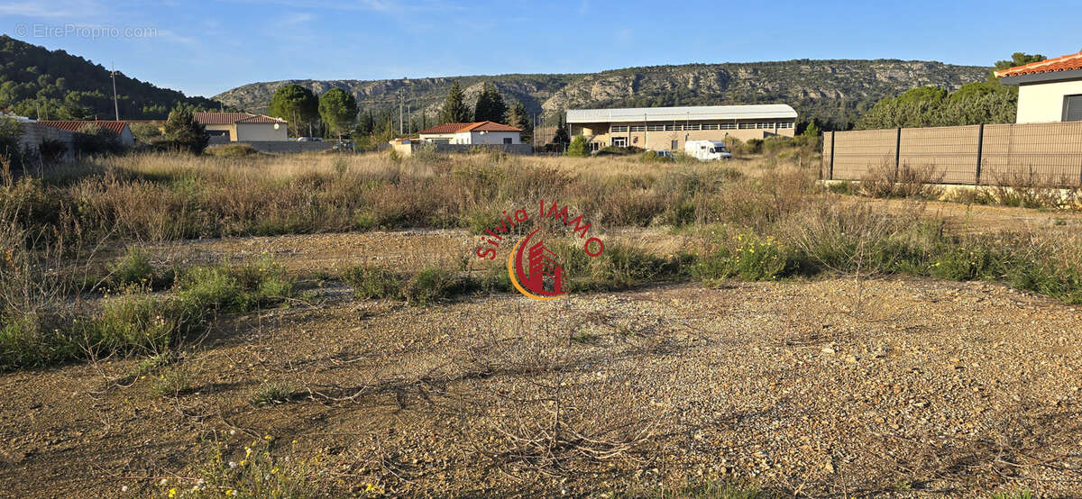 Terrain à TAUTAVEL