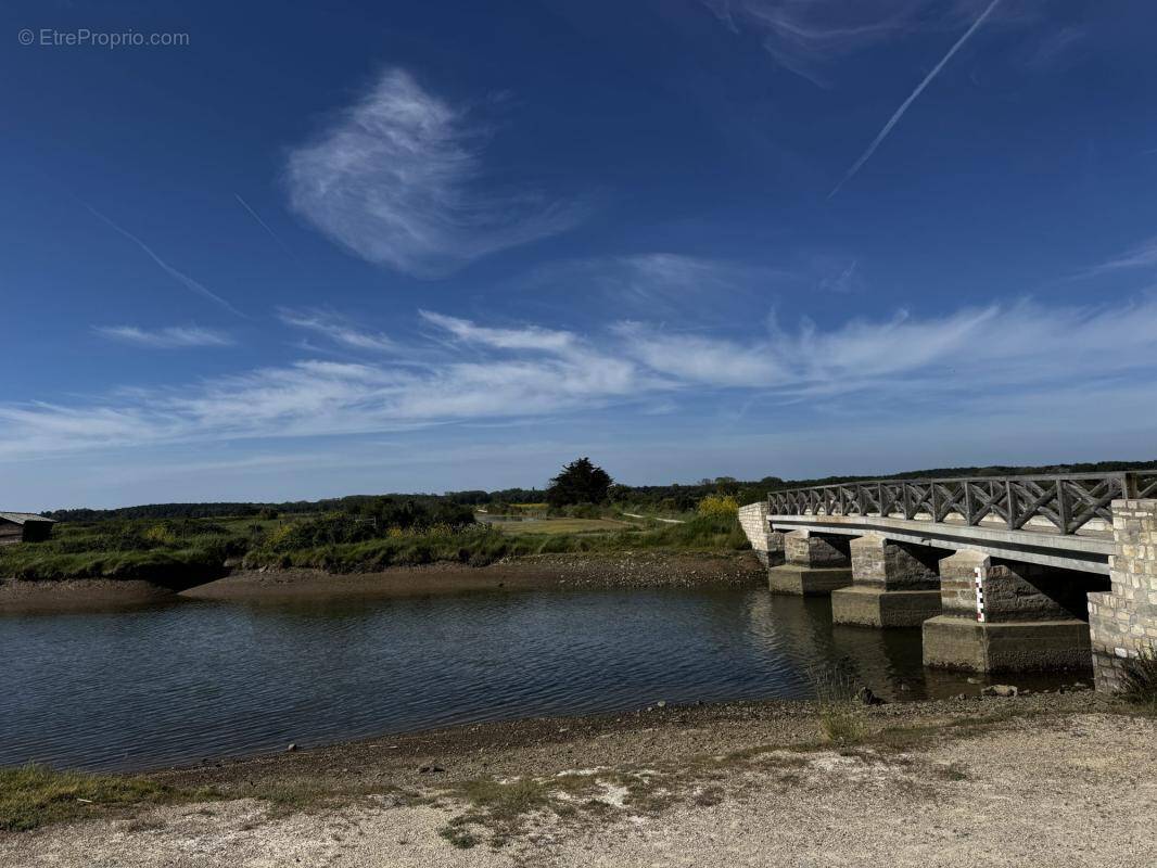 Terrain à L'ILE-D'OLONNE