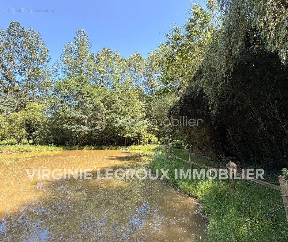 Terrain de loisirs de 15.000m2 avec pièce d'eau et verger - photo 2