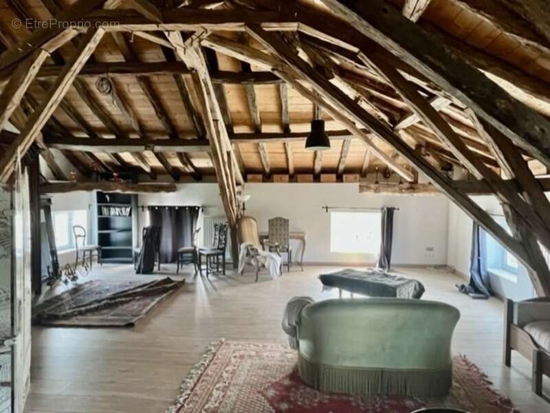 Dpt  (32) : ELEGANT CHATEAU XIX, sans travaux, bases médievales avec douves, piscine, sur 9100m2 jardin clos - photo 17