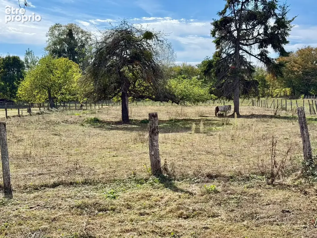Vente maison à rénover, 121 m2 env,  terrain 3393 m2, LA COTE 75 600 € - photo 5