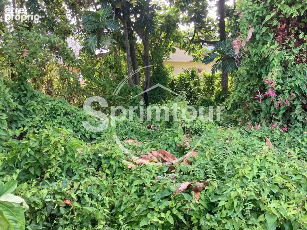 À vendre   Terrain constructible de 2999 m2 à Basse-Terre - photo 22
