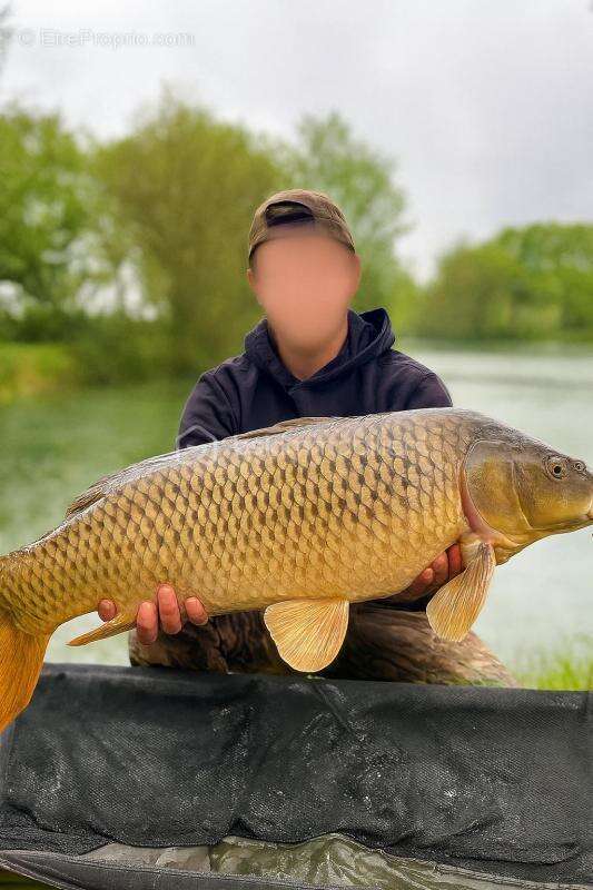 Terrain à SAVONNIERES