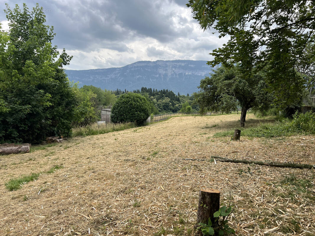 Terrain à DULLIN