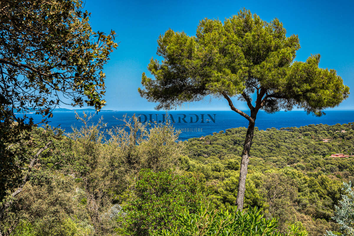 Terrain à BORMES-LES-MIMOSAS