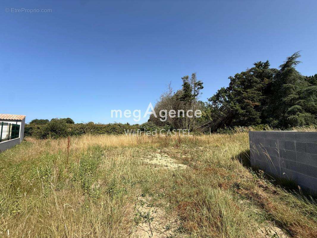 Terrain à bâtir de 986 m2 Ile d'Olonne - photo 2