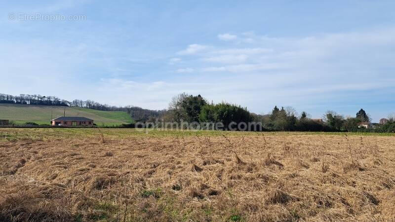 Terrain à SAUVETERRE-DE-BEARN