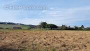 Terrain à SAUVETERRE-DE-BEARN