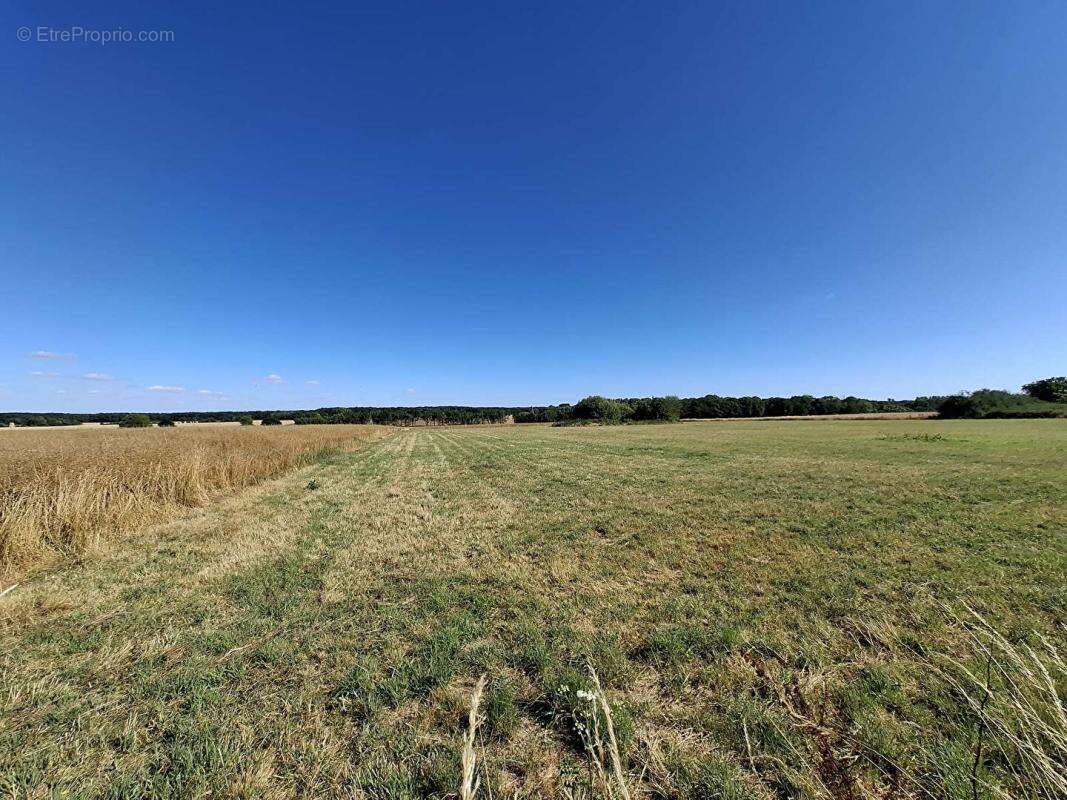 Maison/Pavillon proche LA FERTE VIDAME 9 pièce(s) 137.19 m2 avec terrain 1355m² - photo 18