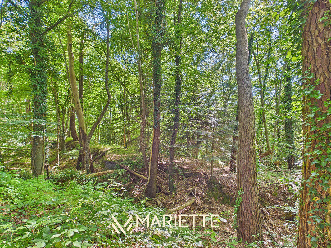 "ROZ LAZ" Cadre naturel - Propriété avec forêt privative - photo 4