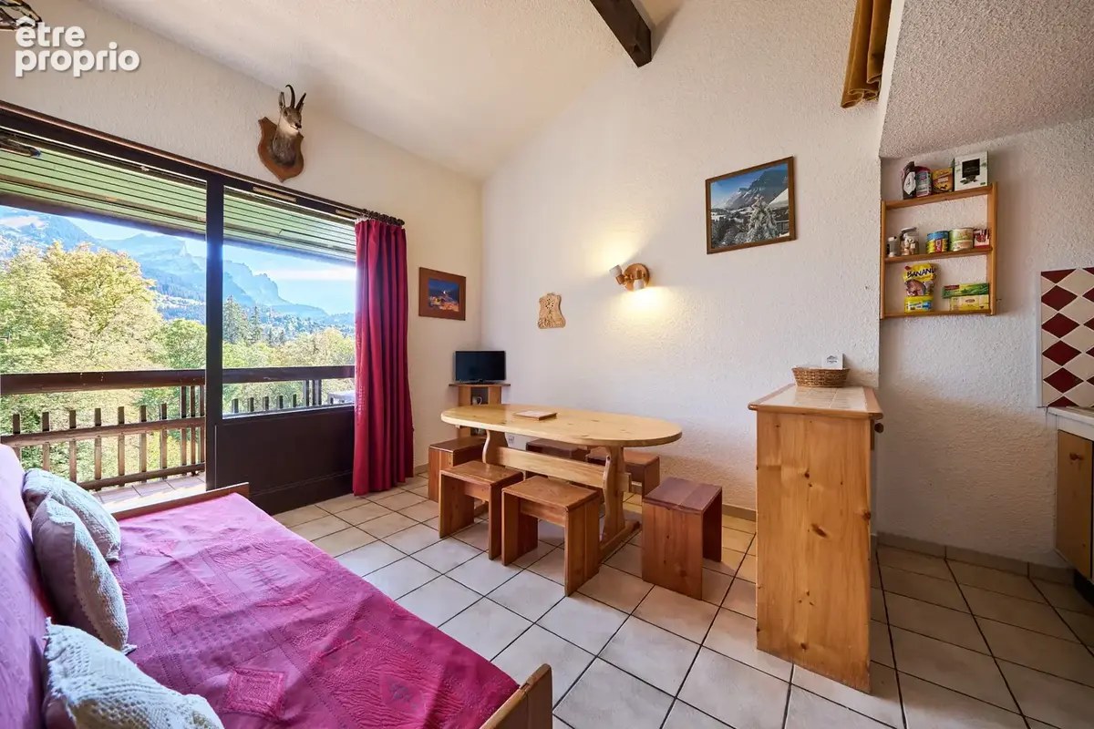 T2/3 duplex carroz-d'arraches - photo 3