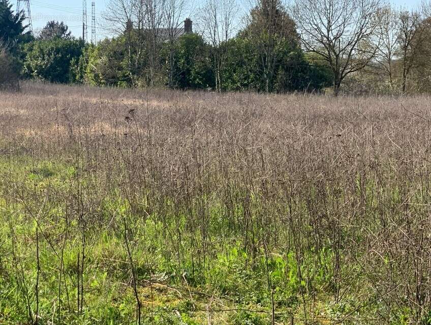 Terrain à LA FORET-LE-ROI