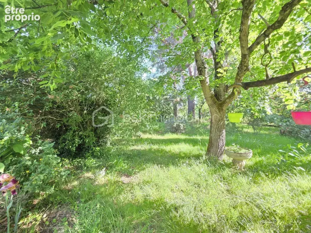 Roquefort-maison en pierre a renover 110 m² - jardin- commodites a pied - photo 5