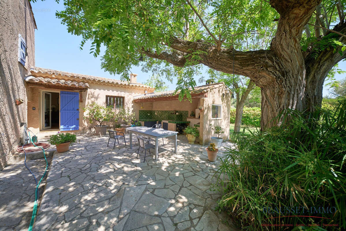 Terrasse ombragée avec four à pizzas sous un magnifique mûrier - Maison à LE CASTELLET