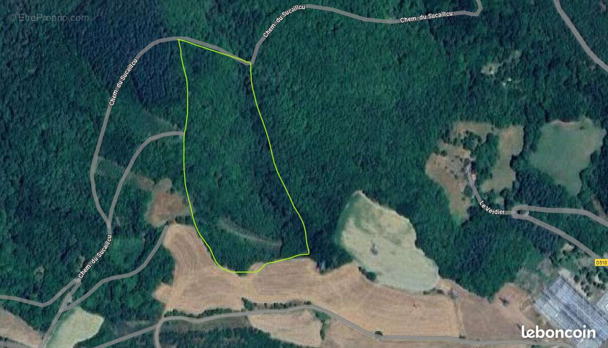 Domaine forestier de 4,3 hectares - Bois de châtaigniers et chênes à Saint-Victor-et-Melvieu - photo 2