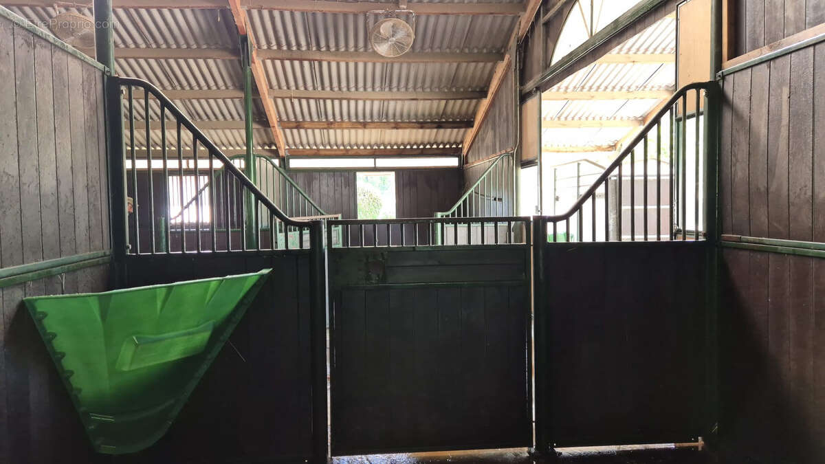 Commerce à VILLENEUVE-SUR-LOT